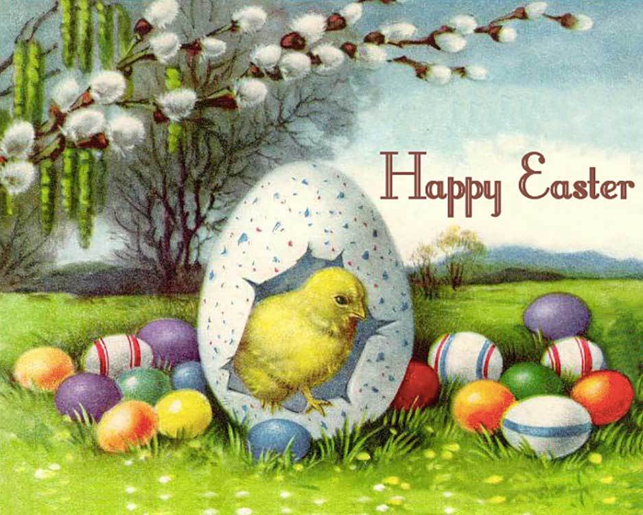 Baby ecards chick easter send Baby chick - Easter - send free eCards from 123cards.com