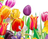 123cards.com  Send Free Birthday Cards & eCards for Every Occasion